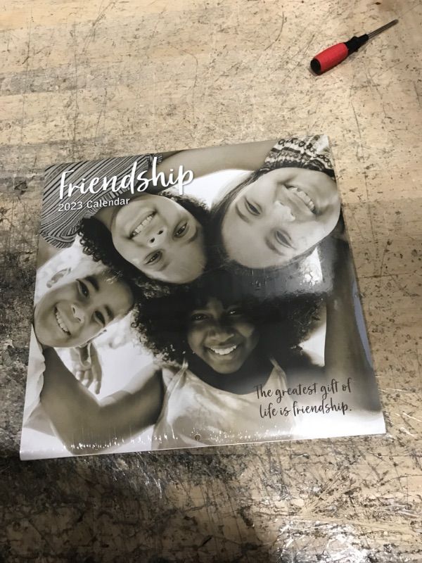 Photo 2 of 2023 Square Wall Calendar, Friendship, 16-Month Lifestyles Theme with 180 Reminder Stickers (12x12 In)