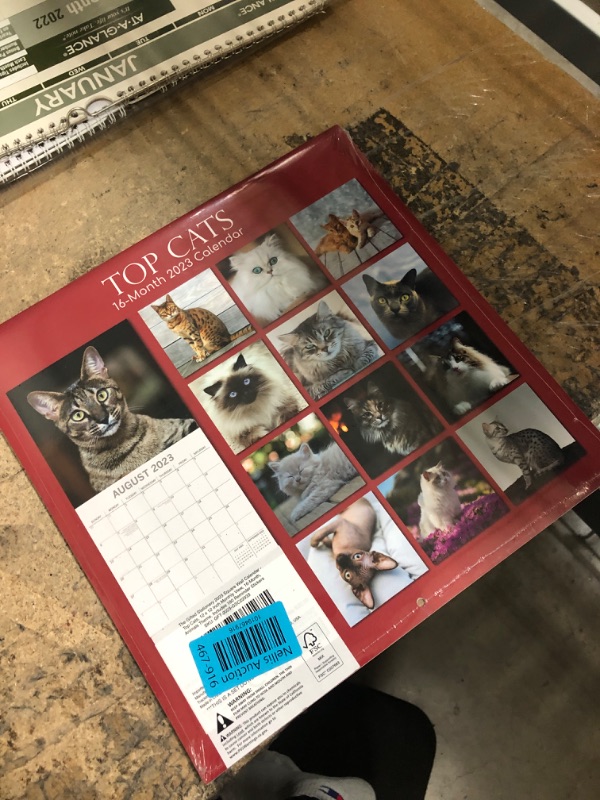 Photo 2 of 2023 Square Wall Calendar, Top Cats, 16-Month Animals Theme with 180 Reminder Stickers (12 x 12 In)