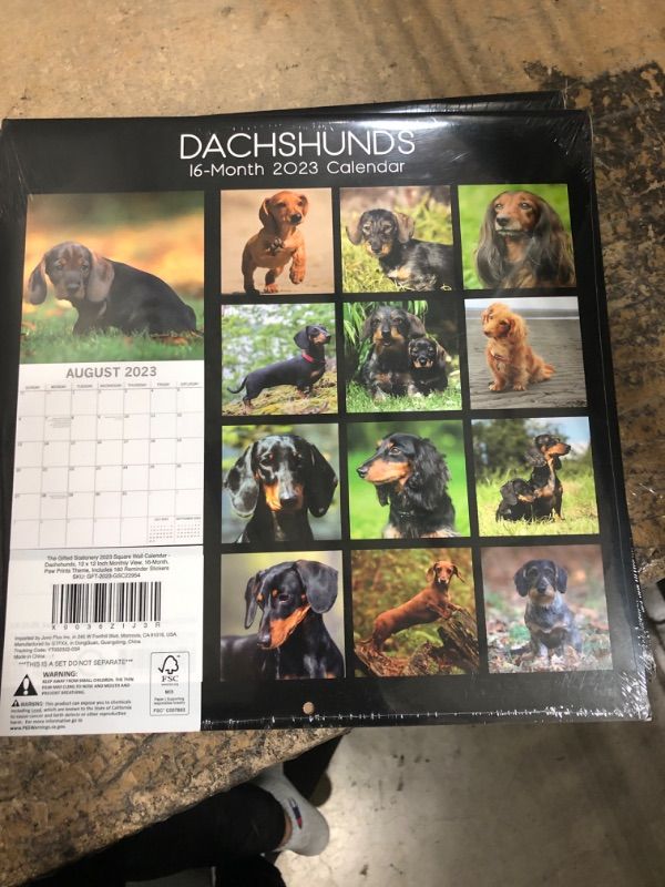 Photo 1 of 2023 Square Wall Calendar, Dachshund, 16-Month Paw Prints Theme with 180 Reminder Stickers (12 x 12 In)
