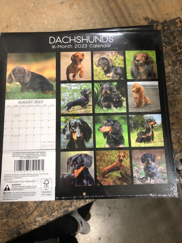 Photo 2 of 2023 Square Wall Calendar, Dachshund, 16-Month Paw Prints Theme with 180 Reminder Stickers (12 x 12 In)