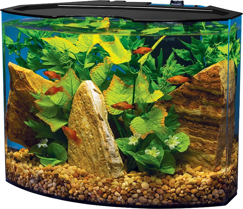 Photo 1 of ***TESTED/ POWERS ON***Crescent aquarium Kit 5 Gallons, Curved-Front Tank With LEDs,black