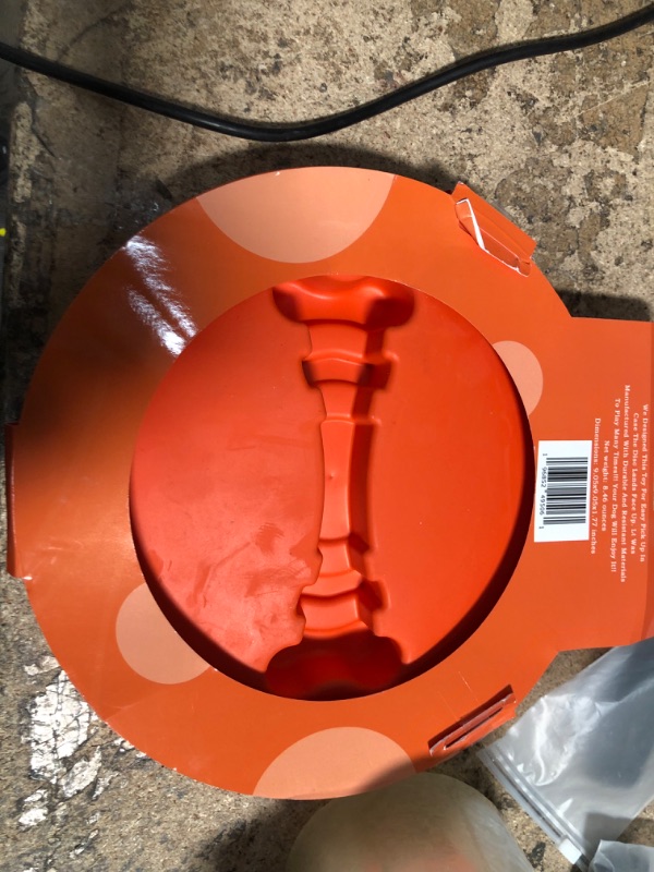 Photo 1 of ORANGE DOG FRISBEE