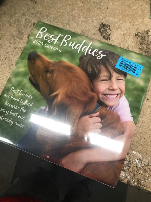 Photo 2 of 2023 Square Wall Calendar, Best Buddies, 16-Month Lifestyles Theme with 180 Reminder Stickers (12x12 In)