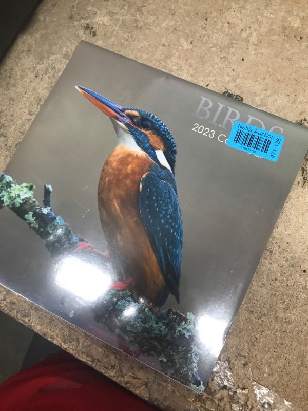 Photo 1 of 2023 Square Wall Calendar, Birds, 16-Month Animals Theme with 180 Reminder Stickers (12 x 12 In)