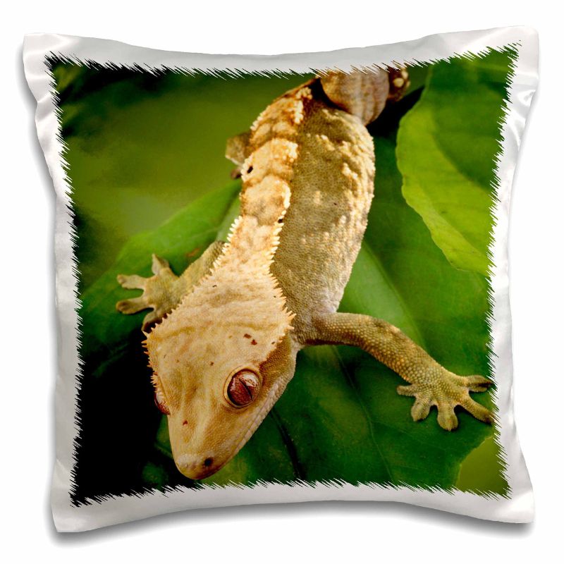 Photo 1 of 2 pk- 3D Rose New Caledonian Crested Gecko Lizard-Na02 Mpr0086-Maresa Pryor Design Pillowcase, 16" x 16"