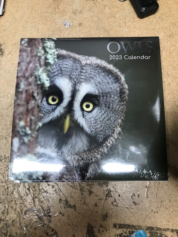 Photo 3 of 2023 Square Wall Calendar, Owls, 16-Month Animals Theme with 180 Reminder Stickers (12 x 12 In)