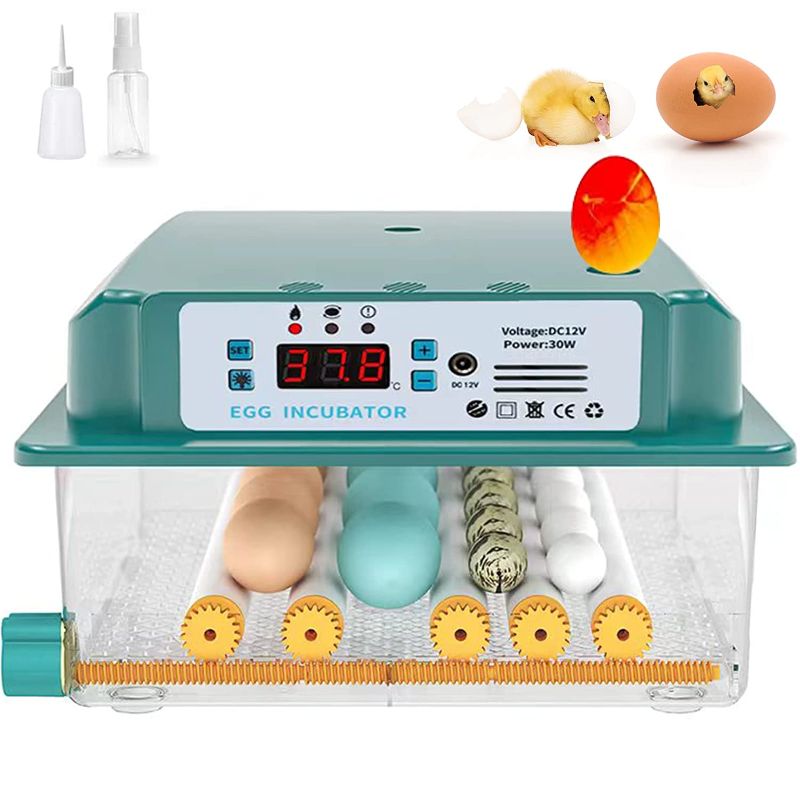 Photo 1 of ***BLUE**** 16 Eggs Incubators for Hatching Egg, Automatic Turn Eggs, Double Power Garantee, Chickens Quail Duck Egg Incubator, Adjustable Egg Tray Spacing Monitoring Incubators with Egg Candler