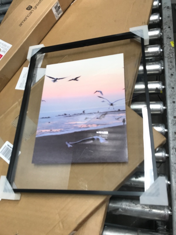 Photo 1 of 16X20 FLOATING PICTURE FRAME SEAGULL