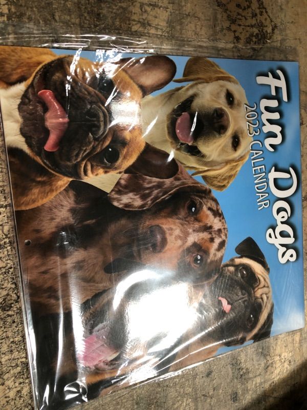Photo 1 of Fun Dogs Wall Calendar 2023 - Large Family Planner & Daily Organiser with Monthly Doggy Picture - Cute Dog Lover Gift, Christmas Stocking Filler & Slim Design 2023 Wall Planner