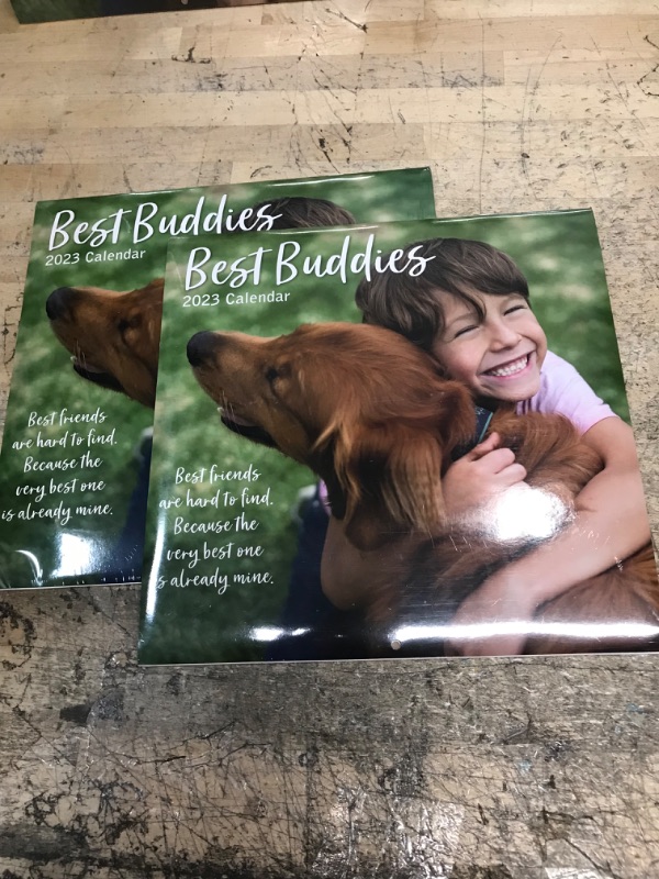 Photo 2 of 2 SETS - 2023 Square Wall Calendar, Best Buddies, 16-Month Lifestyles Theme with 180 Reminder Stickers (12x12 In)


