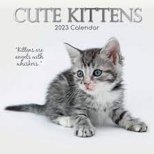 Photo 1 of 2023 Calendar Cute Kittens Square Wall