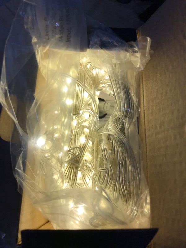 Photo 2 of 2 ITEMS Outdoor Christmas LIGHTS BUNDLE