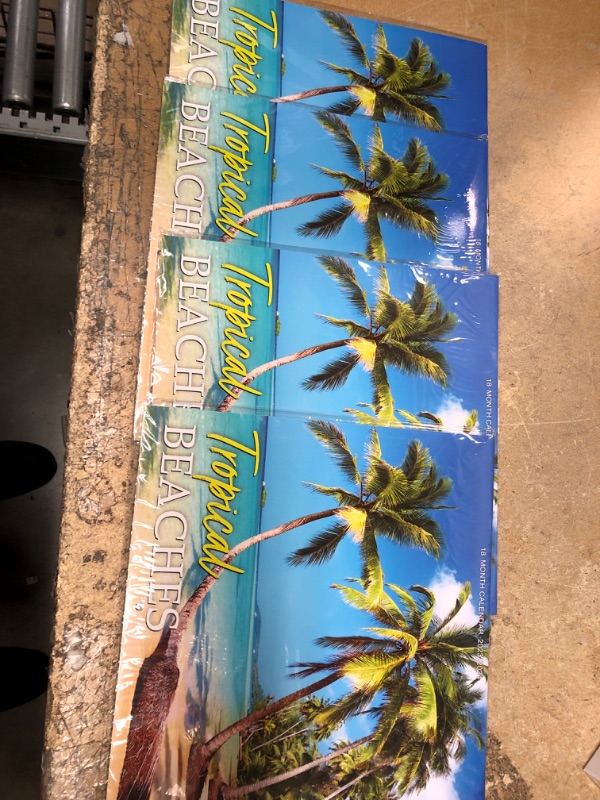 Photo 2 of 4 pcs bundle
Calendar 2023-2024 - Wall Calendar 2023-2024, 18-Month Wall Calendar 2023, Jan. 2023 -Jun. 2024, 12" x 24" (Open), Unruled Blocks with Thick Paper - Coconut Tree Sky Blue