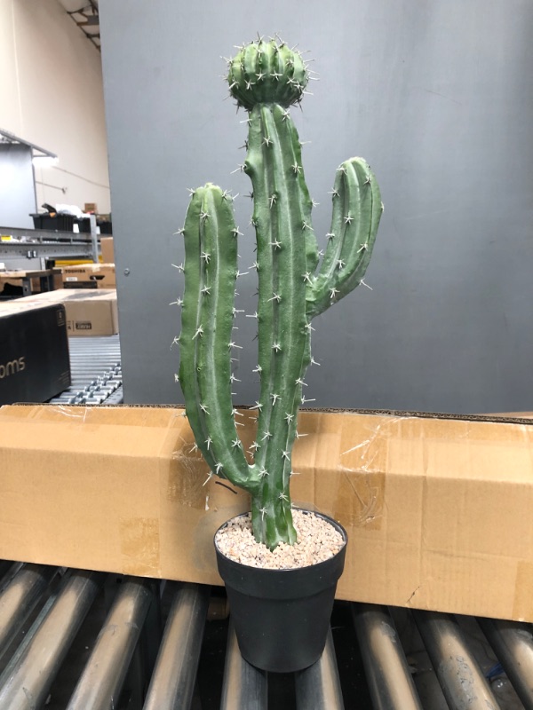 Photo 2 of Ruwenus Artificial Cactus 2ft?24"? Tall Fake Cactus Plants Faux Cacti Saguaro with Planter for Indoor Outdoor Home Office Shop Garden Decoration Cactus-24"