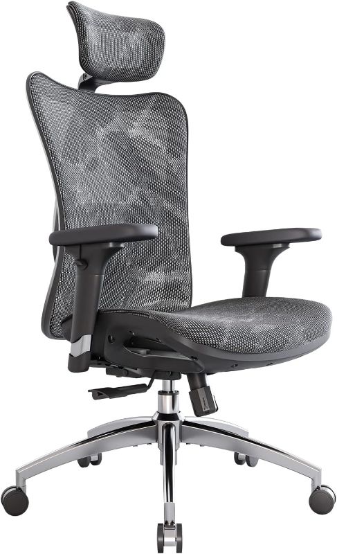 Photo 1 of Sihoo M57 Full Mesh Breathable Office Chair for Sedentary Lifestyle