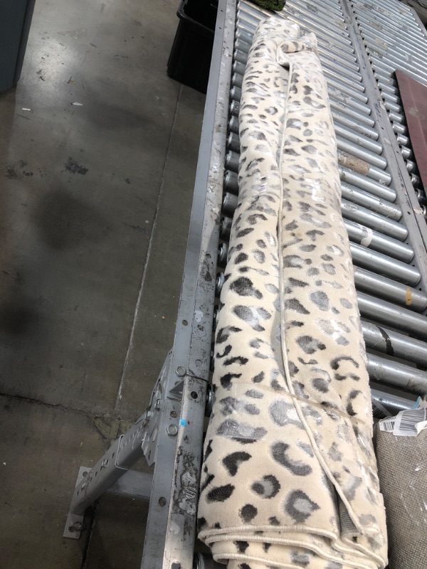 Photo 1 of **USED/DAMAGED** CosmoLiving by Cosmopolitan HZ50A Cougar Area Rug, Snow Leopard 5 ft x 7 ft Snow Leopard