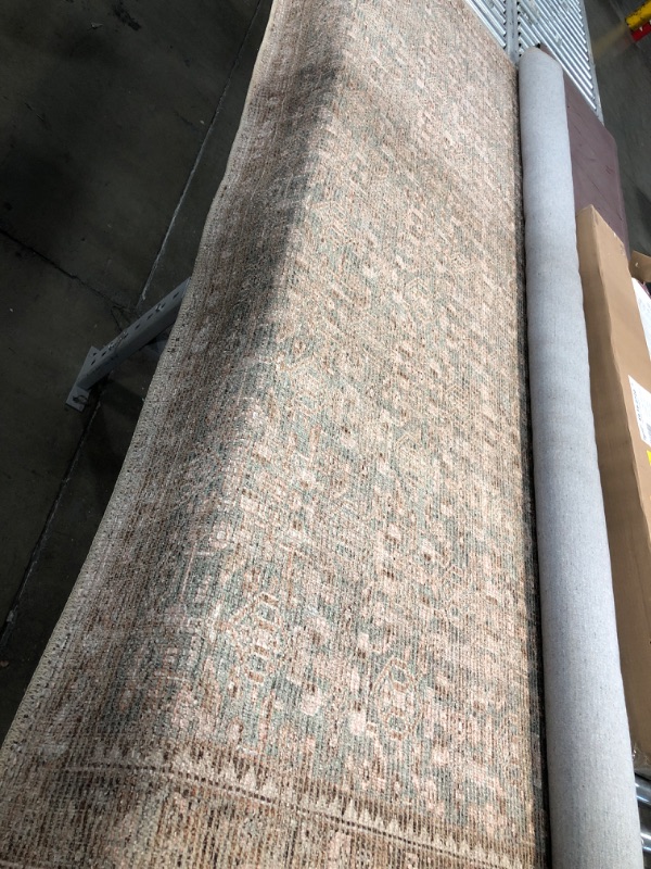 Photo 2 of **USED** Angela Rose x Loloi Aubrey Collection AUB-04 Sage / Bark, Traditional 7'-6" x 9'-6" Area Rug Sage / Bark 7'-6" x 9'-6"