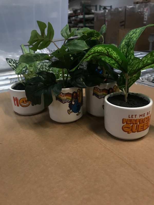 Photo 1 of 7PK- PROUD MINI POTTED PLANTS