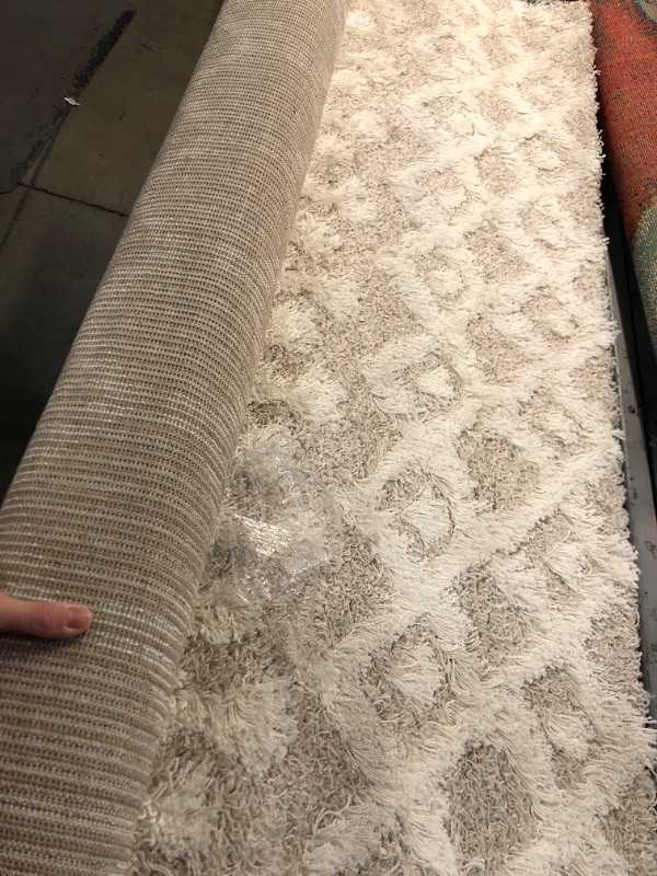 Photo 1 of Artistic Weavers Hapsburg Moroccan Shag Area Rug, 5'3" x 7'3", Beige 5 ft 3 in x 7 ft 3 in Beige