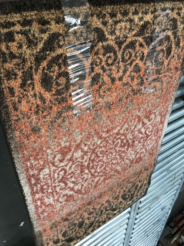 Photo 1 of 30 inch x  46  inch Area Rug 