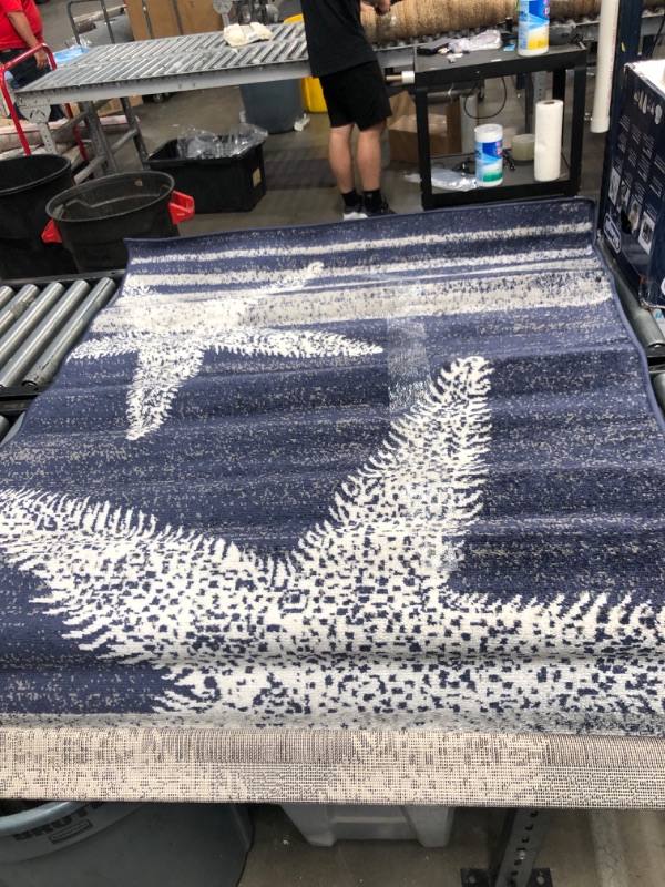 Photo 1 of 4' 6' rug