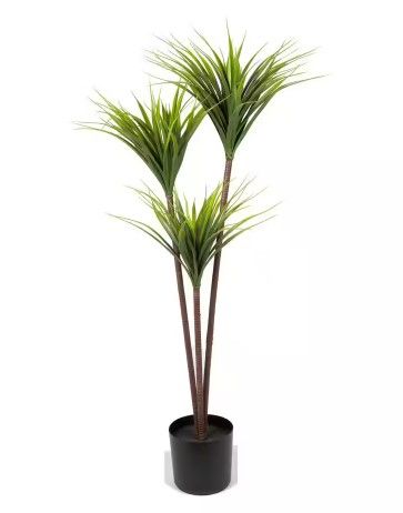 Photo 1 of 55 " GREEN Artificial DRACAENA IN BLACK PLANTER POT