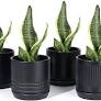 Photo 1 of POTEY Black Planters Pots for Plants Indoor - 4.2 Inch Glazed Ceramic Modern Bonsai Container with Drainage Holes & Saucer 053502 (Set of 4, Plants Not Included)