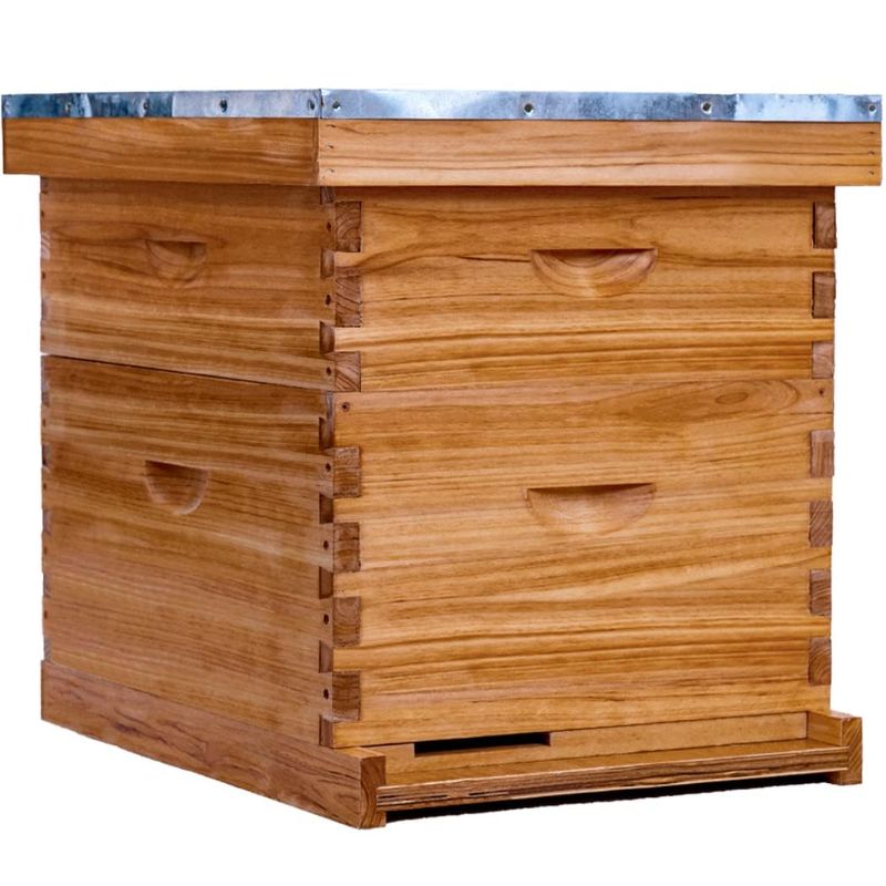Photo 5 of 10 Frame Bee Hive Complete Beehive Kit,Honey Bee Hives Includes 1 Deep Bee Boxes, 1 Bee Hive Super with Beehive Frames and Foundation

