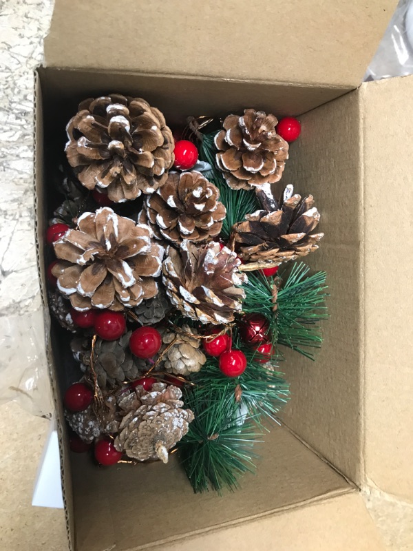 Photo 2 of **NEEDS BATTERIES**
Christmas Pinecone Lights 7 FT 20 LED Battery Operated Red Berry with Pine Cone Garland Lights Indoor Outdoor Thanksgiving Decorations Christmas Party
