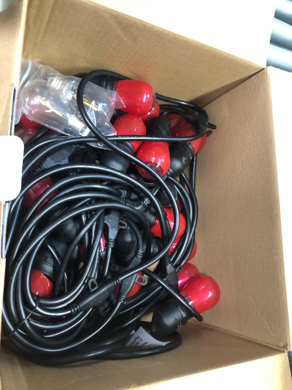 Photo 1 of 24-Light Indoor/Outdoor 48 ft. String Light with S14 Single Filament LED Bulbs