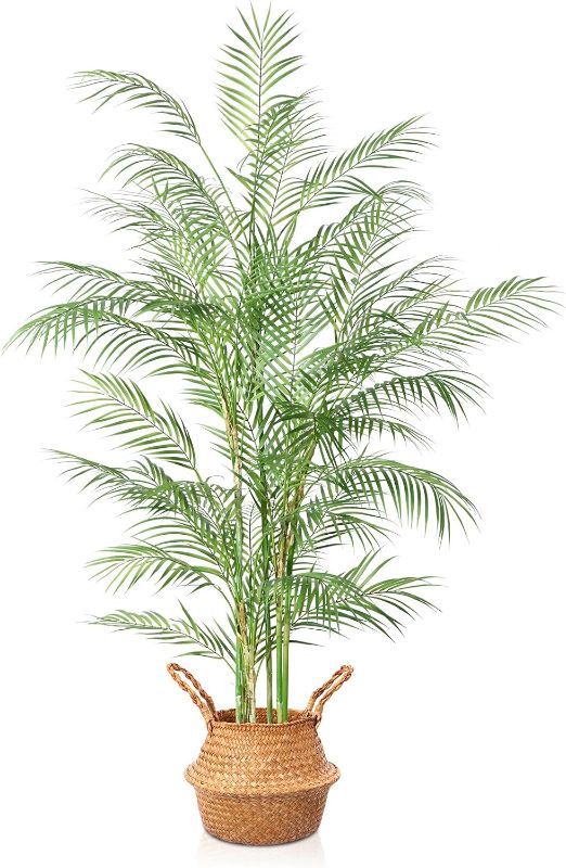 Photo 1 of 2pcks of MOSADE Artificial Paradise Palm Tree 5.7 Feet,2Pack