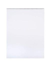 Photo 1 of School Smart - 85325 Chart Tablet, 24 x 32 Inches, Unruled, 25 Sheets 