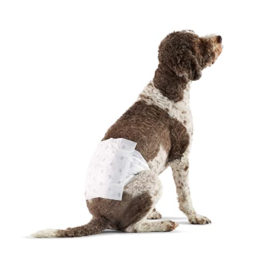 Photo 1 of Amazon Basics Male Dog Wrap, Disposable Diapers, Large - Pack of 50
