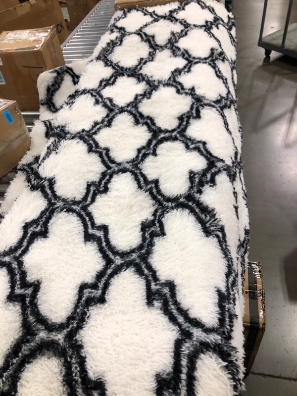 Photo 1 of 6FT X 4FT BLACK AND WHITE AREA RUG- FUZZY