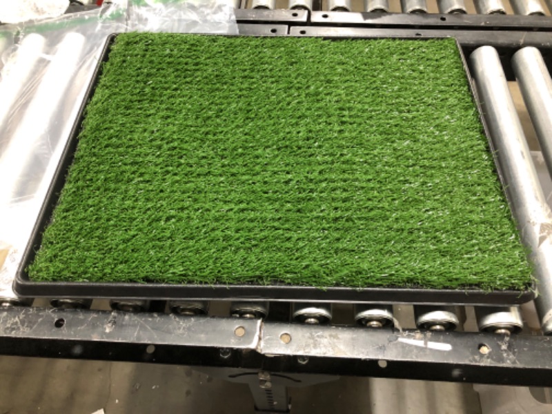 Photo 1 of  Dog Grass Pee Pads