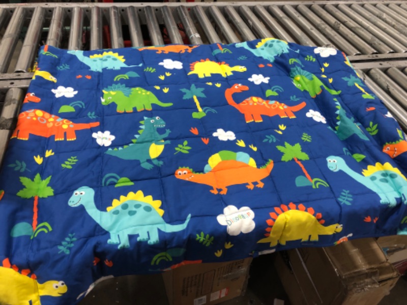 Photo 1 of Dinosaur Weighted KIDS Blanket  