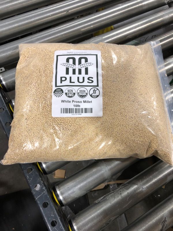 Photo 1 of 10LBS WHITE PROSO MILLET 