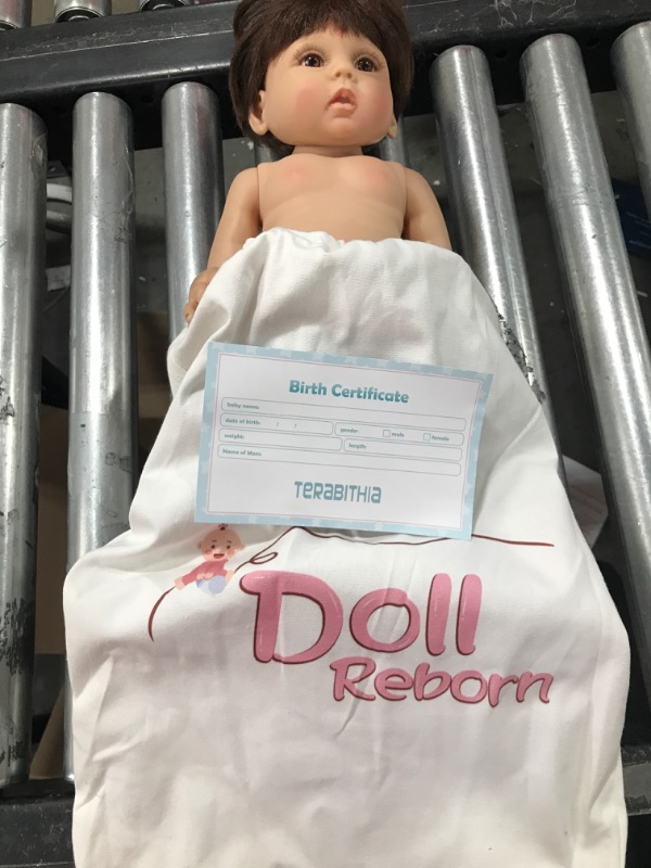 Photo 1 of DOLL REBORN 