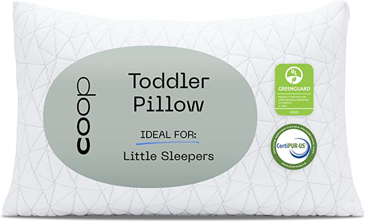 Photo 1 of Coop Home Goods Toddler Pillow for Sleeping and Travel - Premium Small Memory Foam Baby Pillow for Kids with Lulltra Washable Pillowcase - Crib & Bed - CertiPUR-US/GREENGUARD Gold Certified (19x13)
