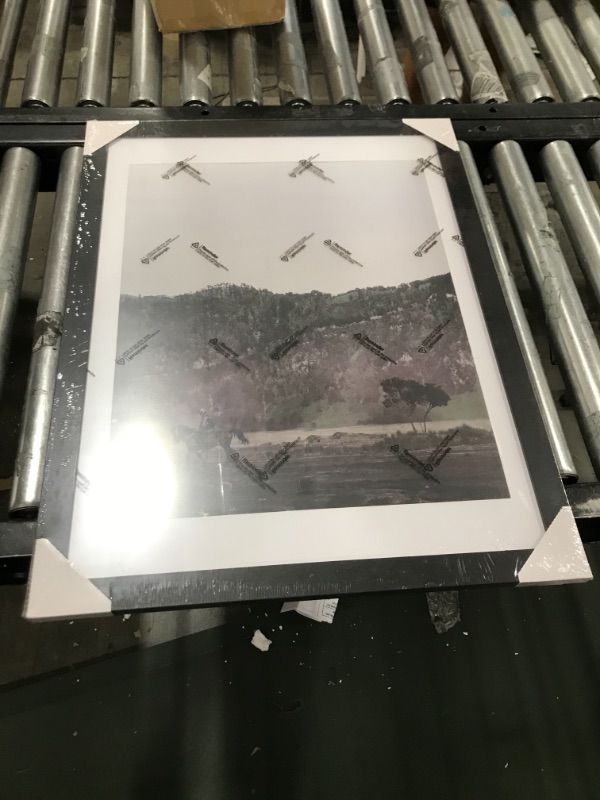 Photo 1 of 26" x 20" Picture Frame 