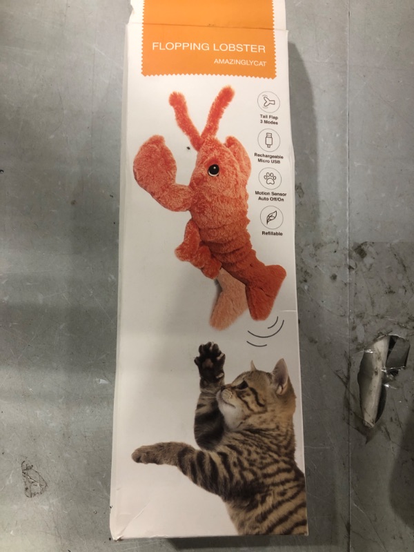 Photo 1 of Floppy Lobster 