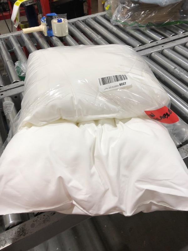 Photo 1 of 2 pillows