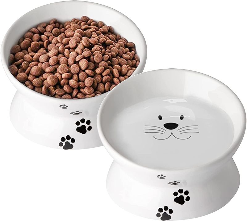 Photo 1 of 10 OZ Elevated Cat Bowls 