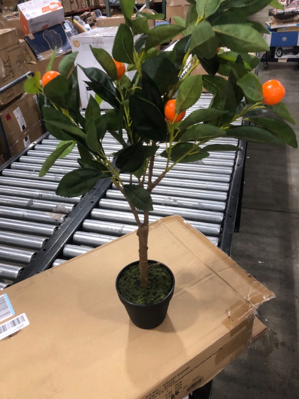 Photo 2 of 26 in. Artificial RT Orange Tree with Pot
