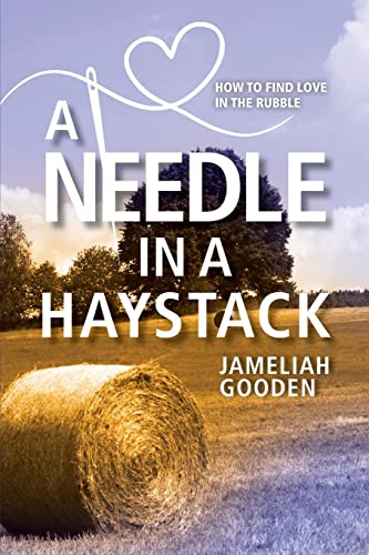 Photo 1 of A Needle in a Haystack: How to Find Love in the Rubble BOOK 