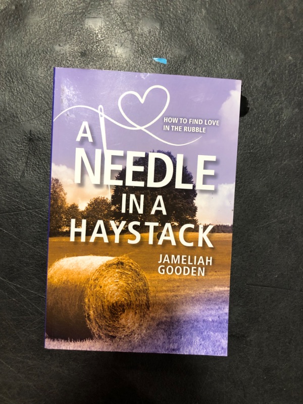 Photo 2 of A Needle in a Haystack: How to Find Love in the Rubble BOOK 
