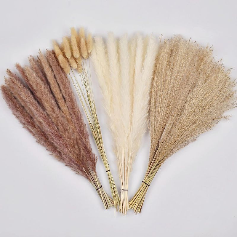 Photo 1 of 75 Pcs Dried Pampas Grass, 15 Pcs White Pompous & 15 Pcs Brown Pompass Branches & 15 Pcs Bunny Tails Dry Flowers & 30 Pcs Reed Grass, 17.5" Fluffy Natural Plant Decor Small Bouquet Floral Arrangements