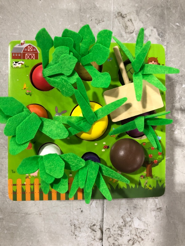 Photo 2 of AFOUNDA Montessori Wooden Toy | Colorful Vegetables & Fruits with Different Shape Size Sorting Game | Preschool Learning Fine Motor Skill Development Toy for Kids