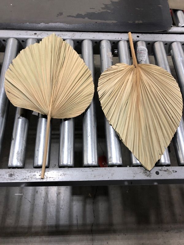 Photo 1 of 2 Large Palm Leaves, Dried Palm Fan Leaves for Wedding Home Décor