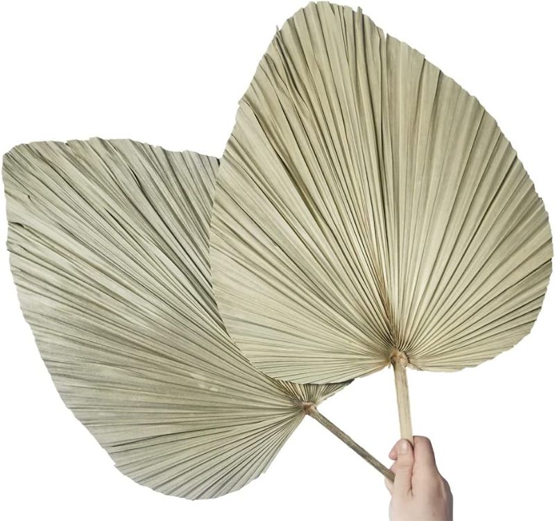Photo 1 of 2 Large Palm Leaves, Dried Palm Fan Leaves for Wedding Home Décor